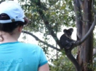 Araucaria Ecotours - Great Ocean Road Tourism 1