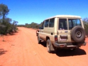 Araucaria Ecotours - Great Ocean Road Tourism 2