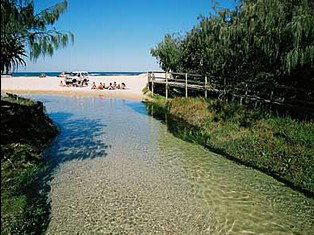 Fraser Island QLD Great Ocean Road Tourism