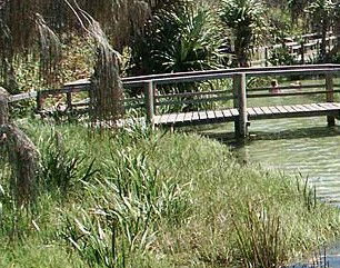 Australia Fraser Island Escape - Great Ocean Road Tourism 1