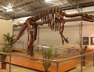 Diamantina Lakes QLD Great Ocean Road Tourism