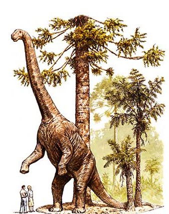 Australian Age Of Dinosaurs - Great Ocean Road Tourism 2