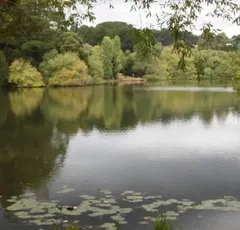 Daylesford