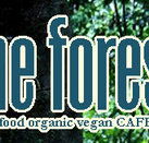 Forest Cafe  Bar - Great Ocean Road Tourism