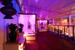Circus Bar  Night Club - Great Ocean Road Tourism