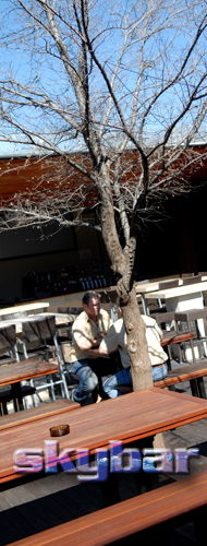 Alma Tavern - Great Ocean Road Tourism 2