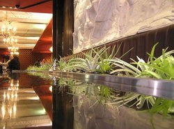 Terra Rossa - Great Ocean Road Tourism 2