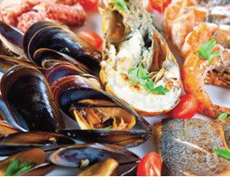 Pelagos Greek Tavern - Great Ocean Road Tourism 2