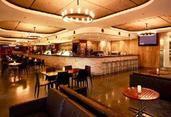 Martin Place Bar - Great Ocean Road Tourism 0