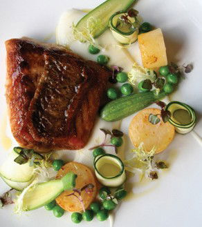 Mondo Organics Restaurant - Great Ocean Road Tourism 5