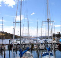 Oyster Cove Inn - Great Ocean Road Tourism