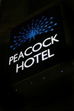 Peacock Inn Hotel - Great Ocean Road Tourism 0