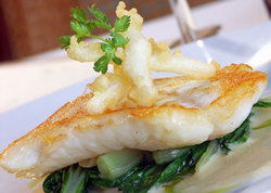 Metropolitan Hotel - Great Ocean Road Tourism 1
