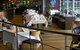 Sandown Park Hotel - thumb 1