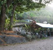 Ellis Beach Bar  Grill - Great Ocean Road Tourism