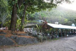 Ellis Beach Bar & Grill - Great Ocean Road Tourism 0