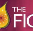 Pickled Fig - Great Ocean Road Tourism