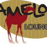 Camelot Lounge