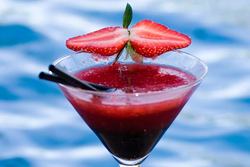 Blue Mango Wine Bar - Great Ocean Road Tourism 1