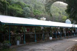 Ellis Beach Bar & Grill - Great Ocean Road Tourism 1