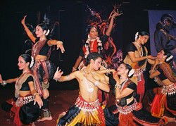 Annalakshmi On The Swan - Great Ocean Road Tourism 2