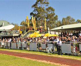 Alice Springs Turf Club - Great Ocean Road Tourism 5