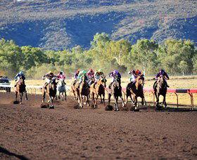 Alice Springs Turf Club - Great Ocean Road Tourism 6