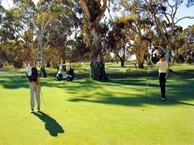 Tanunda Pines Golf Club - Great Ocean Road Tourism 1