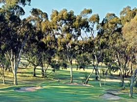 Tanunda Pines Golf Club - Great Ocean Road Tourism 2