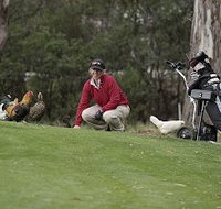 Tasmania Golf Club - The - Great Ocean Road Tourism