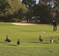 Royal Hobart Golf Club - Great Ocean Road Tourism