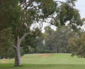Tocumwal Golf Club - Great Ocean Road Tourism 2