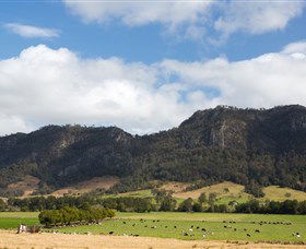Moppy NSW Great Ocean Road Tourism