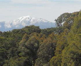 Mansfield Golf Club - Great Ocean Road Tourism 3