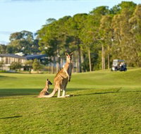 Sanctuary Cove Golf and Country Club - Great Ocean Road Tourism
