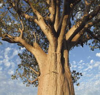 The Kimberley Grande - Great Ocean Road Tourism