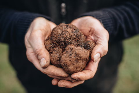 A Taste Of Truffles - Great Ocean Road Tourism 0