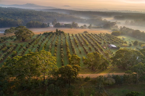 A Taste Of Truffles - Great Ocean Road Tourism 1