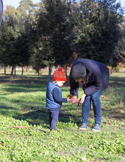 A Taste Of Truffles - Great Ocean Road Tourism 2