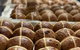Baking - Sourdough Variations - thumb 0