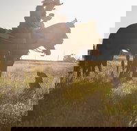 Balonne Cutting Horse Futurity - Great Ocean Road Tourism