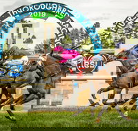 Bathurst Cup - Great Ocean Road Tourism