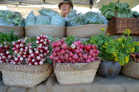 Berry Farmers' Market - Great Ocean Road Tourism 0