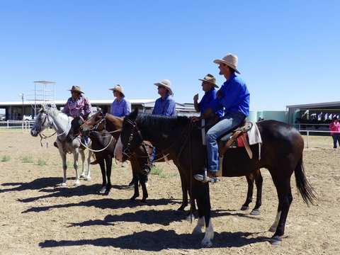 Betoota Horse And Motorbike Gymkhana - Great Ocean Road Tourism 1