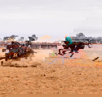 Birdsville Campdraft  Rodeo and Bronco Branding - Great Ocean Road Tourism