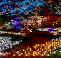 Canberra Nara Candle Festival - Great Ocean Road Tourism