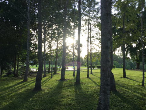 Celebration Outing Special - Great Ocean Road Tourism 0