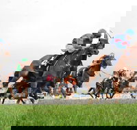 Christmas Cup Race Day - Great Ocean Road Tourism