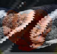 Feast and Forage - Craig's Royal Hotel - Great Ocean Road Tourism