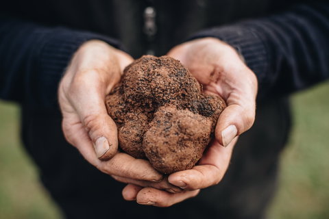 Feast And Forage - Craig's Royal Hotel - Great Ocean Road Tourism 0